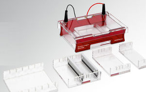 agarose gel electrophoresis system