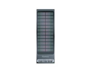 DNA microarray 1