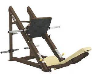 Cybex kneeling leg discount curl