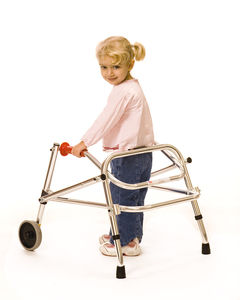 2-wheel mobility walkers