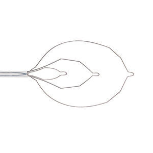 intestinal polyp extraction endoscopic basket