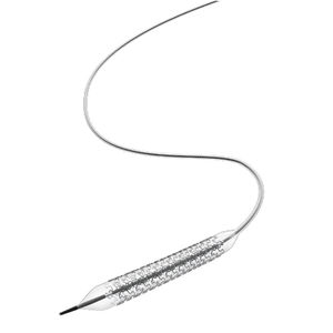 coronary stent