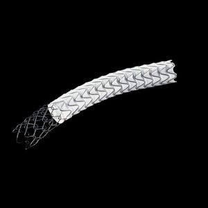 biliary stent graft