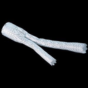 abdominal aorta stent graft