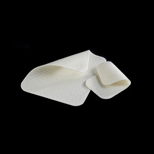 abdominal hernia prosthesis