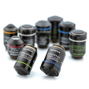 microscope objective