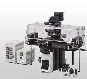 optical microscope