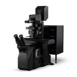 optical microscope