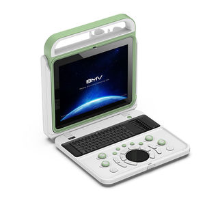 portable ultrasound system