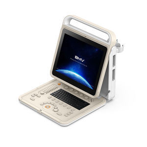 portable ultrasound system