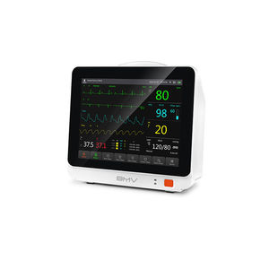 mobile patient monitor