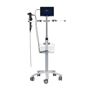 video veterinary gastroscope