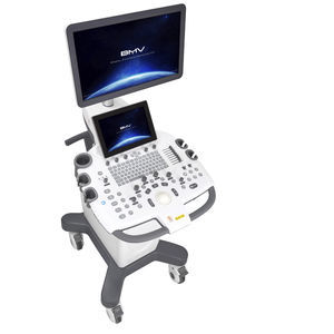 on-platform ultrasound system
