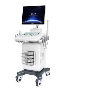 on-platform ultrasound system