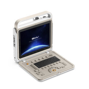 portable ultrasound system