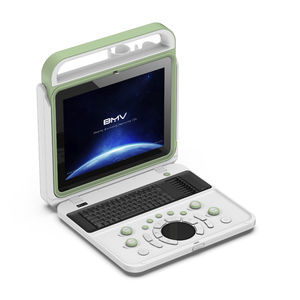 portable ultrasound system