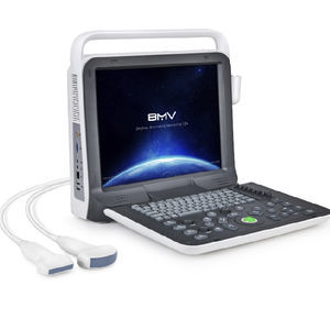 portable ultrasound system