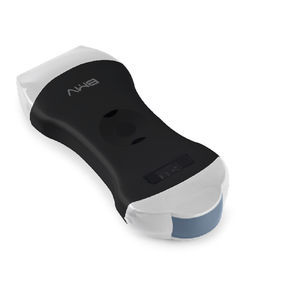 hand-held ultrasound system 1