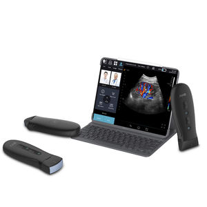 hand-held ultrasound system