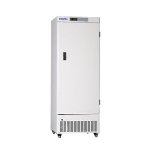 100L Mini Solid Door Chest Freezer with Lock and Key - China Chest