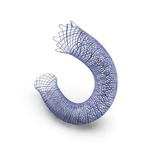 intracranial stent