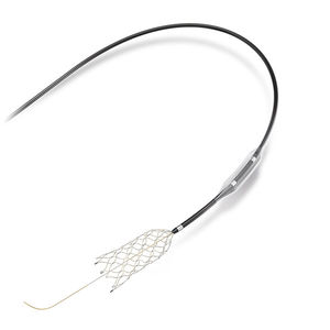 intracranial stent