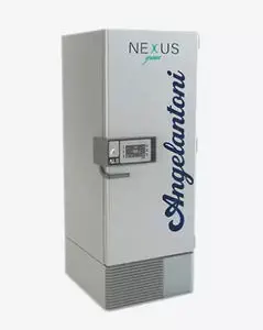 Laboratory freezer - NEXUS V series - Angelantoni Life Science