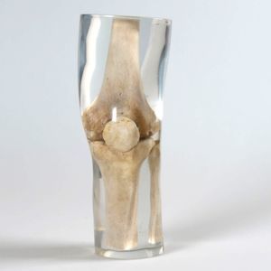 radiography test phantom 1