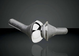 metatarsophalangeal joint implant