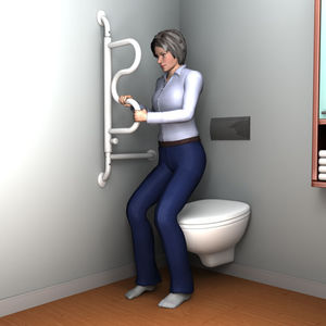 toilet grab bar / wall-mounted