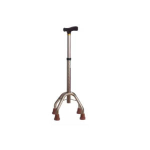 T-handle walking stick