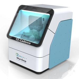 capillary electrophoresis system