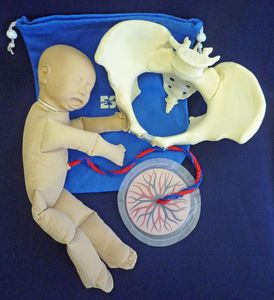 delivery training manikin