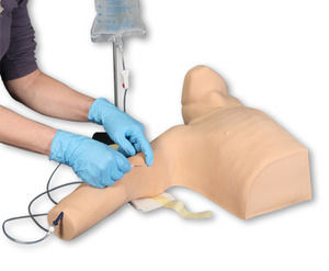 intravenous catheterization simulator / training / torso
