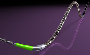 coronary stent