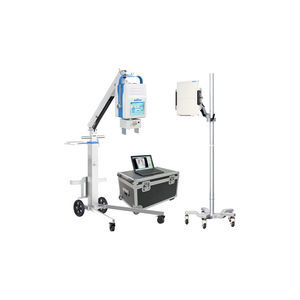 portable radiography system