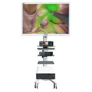 fluorescence imaging endoscopy column
