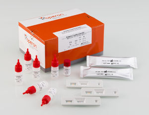 rapid gastrointestinal infection test