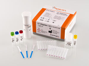 rapid Chlamydia test