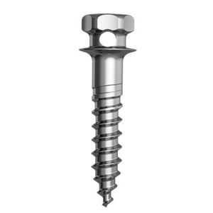 mandible compression bone screw