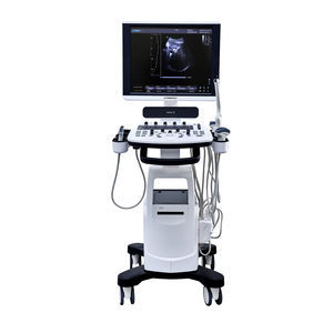 on-platform, compact ultrasound system