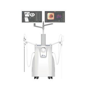 endobronchial ultrasound simulator 1