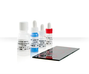 rheumatoid arthritis test kit / rheumatoid factor / IgG / serum
