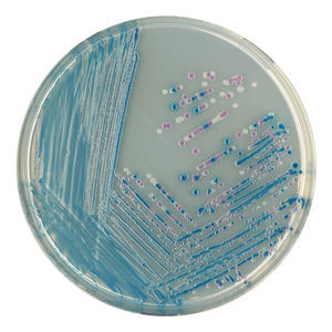 medium reagent 1