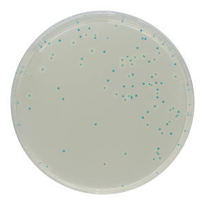 medium reagent