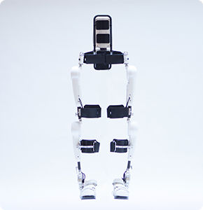 dual-leg rehabilitation exoskeleton