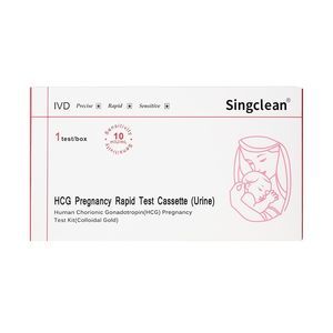 pregnancy test kit