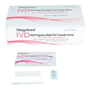 pregnancy test kit