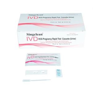 pregnancy test kit