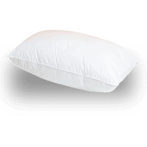 support pillow 1